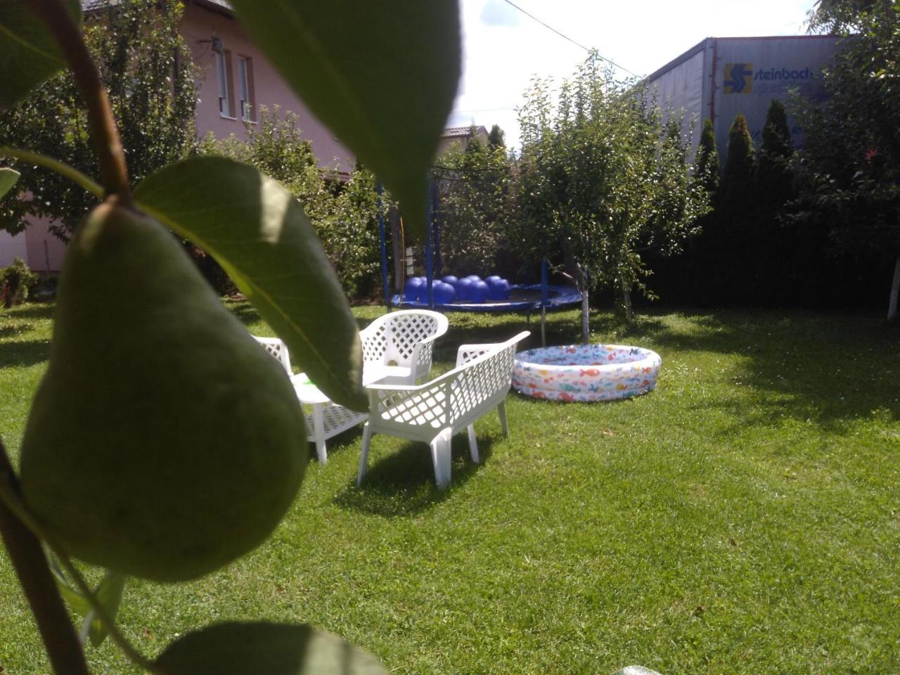 Elite Apartment Jasmina Bihac Luaran gambar